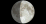 moon8